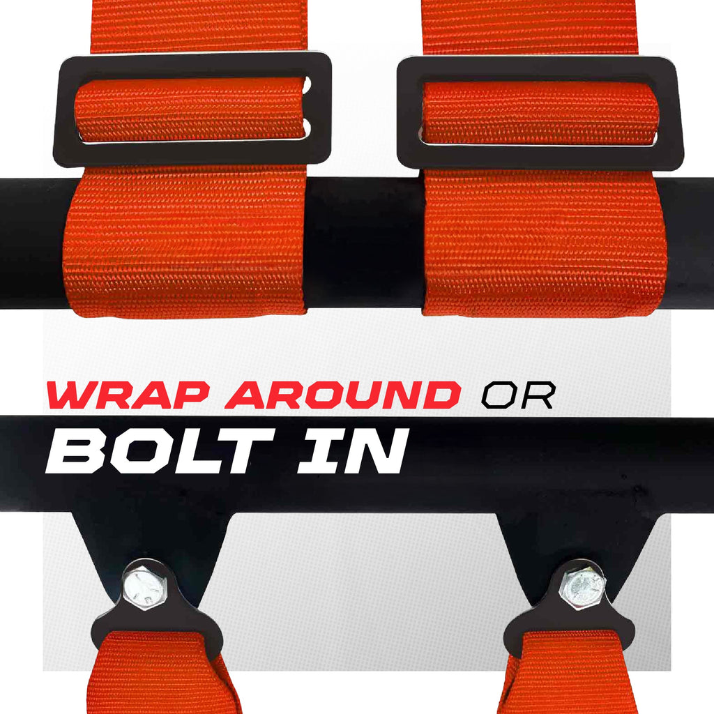 2" & 3" 4 point Harness with push button release