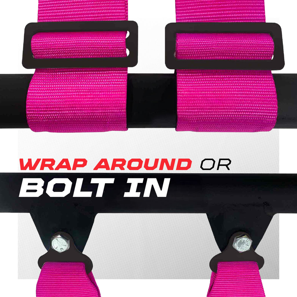 2" & 3" 4 point Harness with push button release