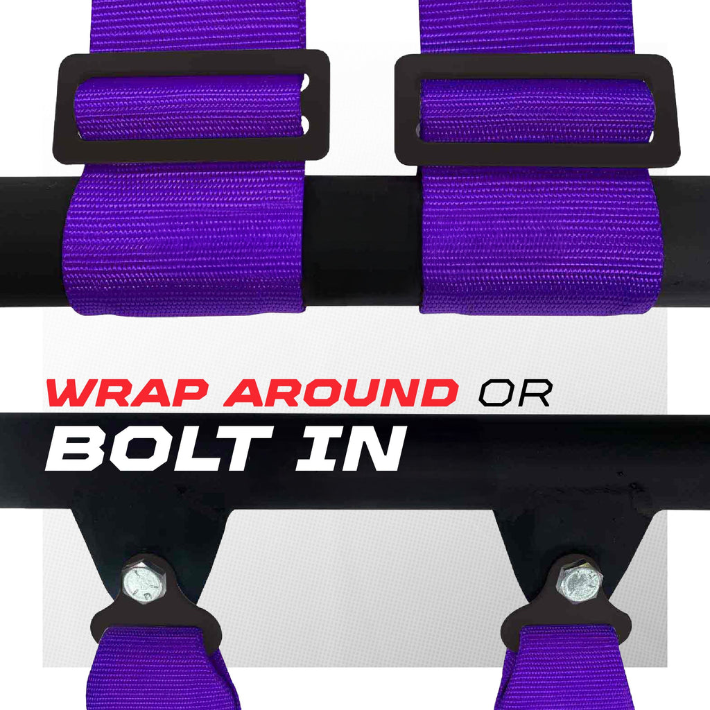 2" & 3" 4 point Harness with push button release