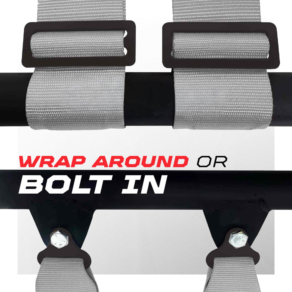 2" & 3" 4 point Harness with push button release